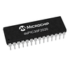 Digital Signal Processors & Controllers ( DPS&DSC)
