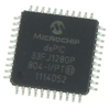 Digital Signal Processors & Controllers ( DPS&DSC)